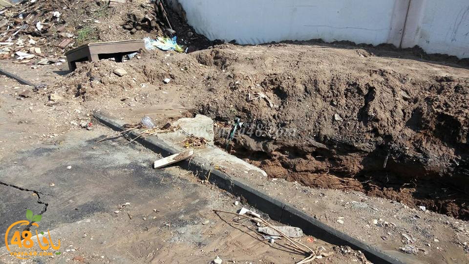 lud shaware3 (5).jpg